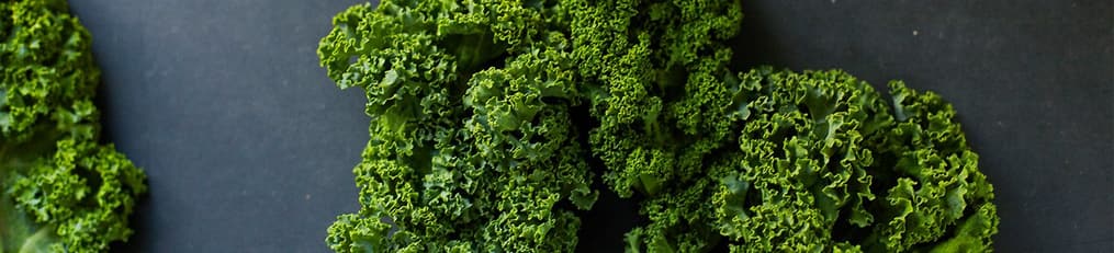 Header Kale