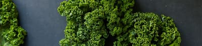 Header Kale