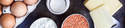 Header protein KC