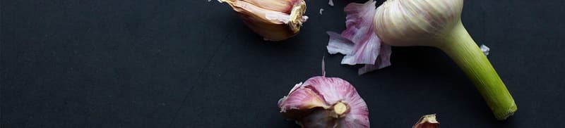 Header GarlicTips
