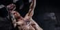 chest-muscles-header.jpg
