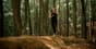 forest-bathing-header.jpg